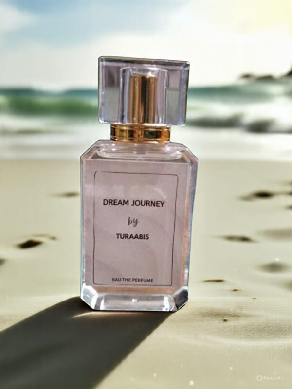 Dream journey